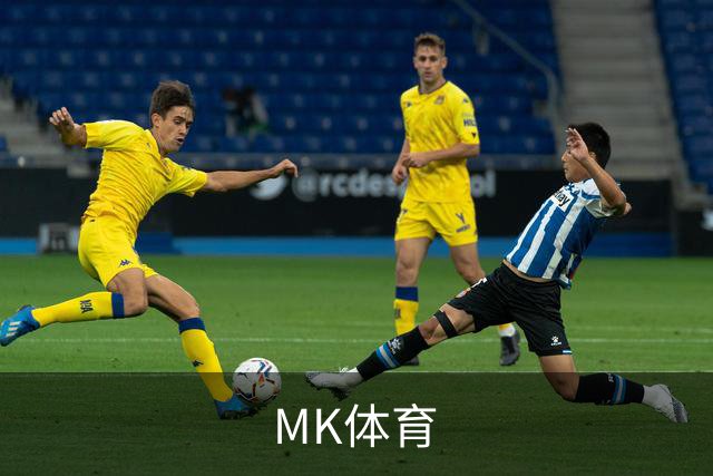 MK体育公司简介